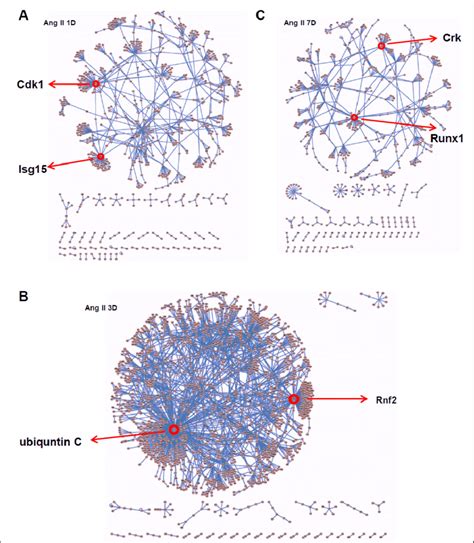 Protein Protein Interaction Network Analysis A Network Analysis For