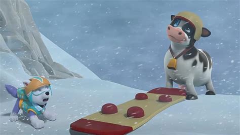 Paw Patrol S08e03 Pups Save A Runaway Rooster Itoons آموزش زبان و