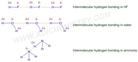 HYDROGEN BONDING