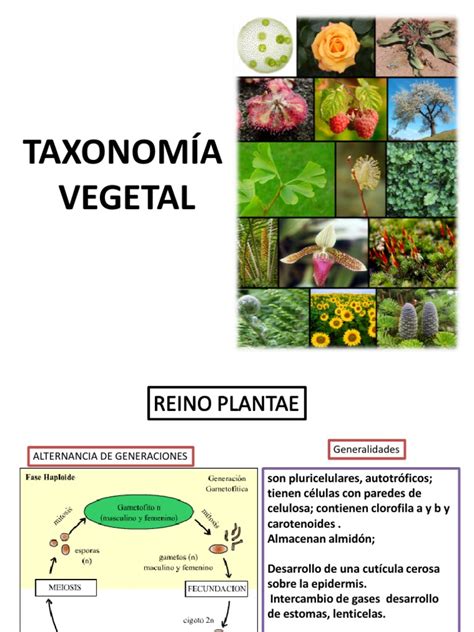 Taxonomía Vegetal