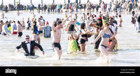 Brooklyn New York Usa St Jan The Coney Island Polar Bear