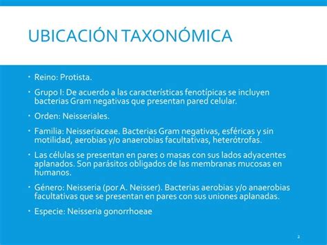 Neisseria Gonorrhoeae Enfermedades Tratamiento Ppt