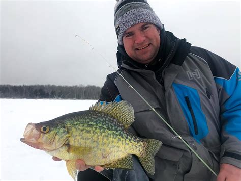 Quick Tips For Catching Crappie With Plastics Virtual Angling