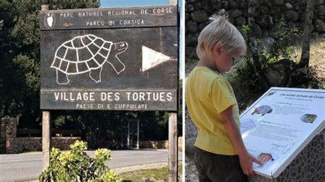 La Corse En Famille Activit S Faire Avec Des Enfants