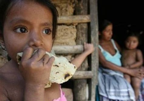 Fao Padecen Hambre Millones De Personas En Am Rica Latina Y El Caribe V A Org Nica