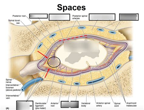 Spaces in Column Diagram | Quizlet