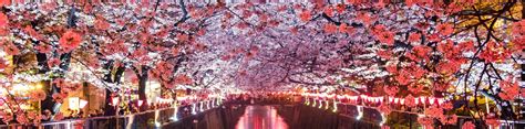 Best Japan Cultural Sightseeing Tours | 10Adventures