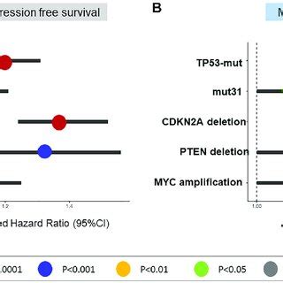 In MSK IMPACT Validation Cohort TP53 Mutations CDKN2A Deletion