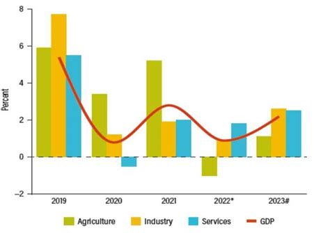 GJC Condemns Circulation Of Leaked Nude Video Malawi Freedom Network