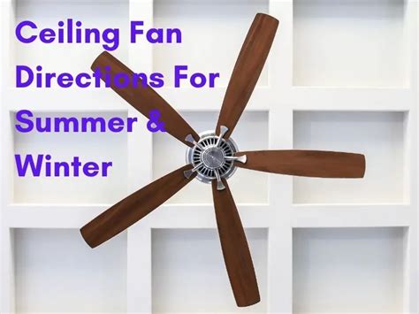 Ceiling Fan Directions for Summer vs Winter [Infographic]