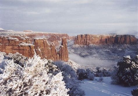 Winter wonderland, Colorado National Monument. Grand Junction, CO ...