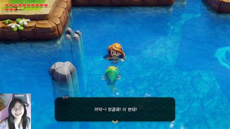 4 꺄악 엉큼해 이 변태 메기의 입 얼굴의 신전 젤다의 전설 꿈꾸는 섬 The Legend of Zelda