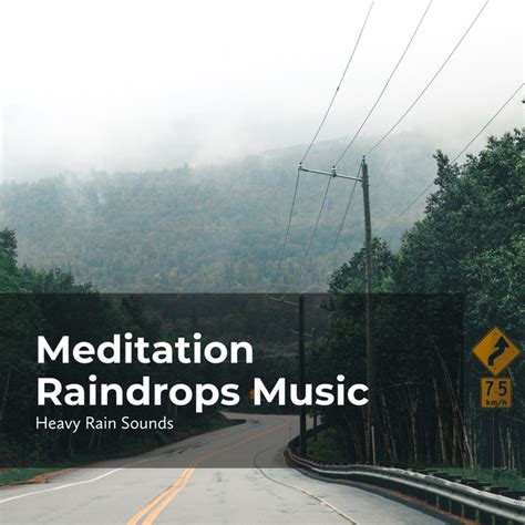 Meditation Raindrops Music Album By Heavy Rain Sounds Spotify