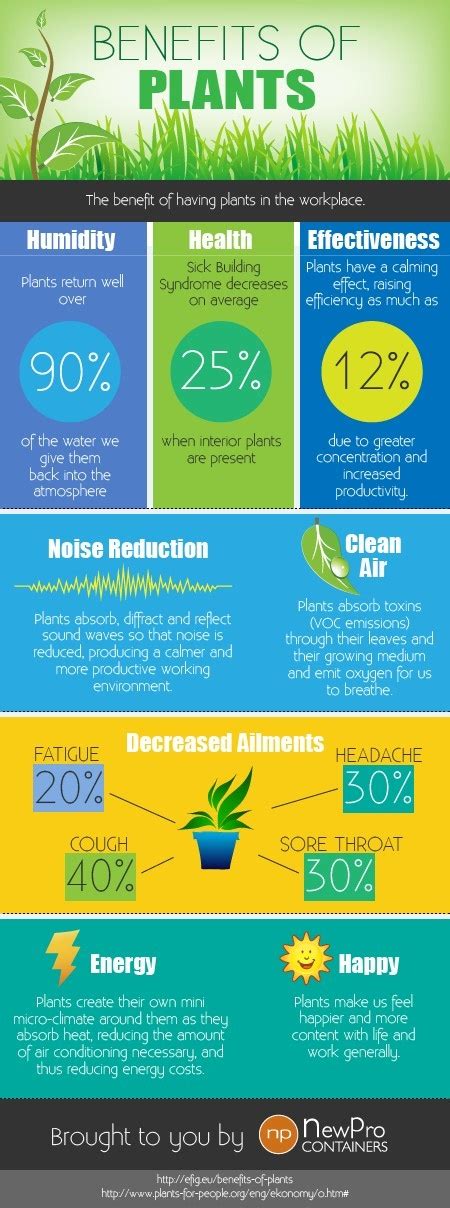 The Health and Work Benefits of Plants [Infographic] | ProScape | Plant ...