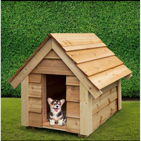 Cool Dog Houses Designs