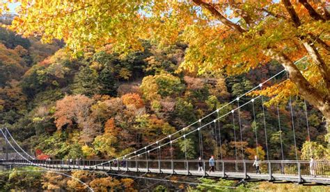 A Weekend Escape to Nikko National Park | Japan Cheapo