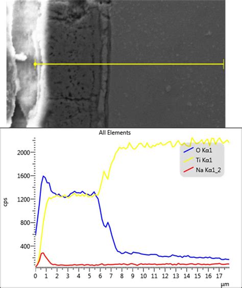 Sem Image And Edx Line Profile Of A Cross Section Of The Surface Layer Download Scientific