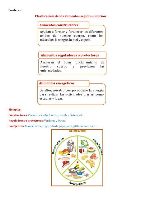 Cuaderno Clasificaci N De Los Alimentos Seg N Su Funci N Romina Udocz