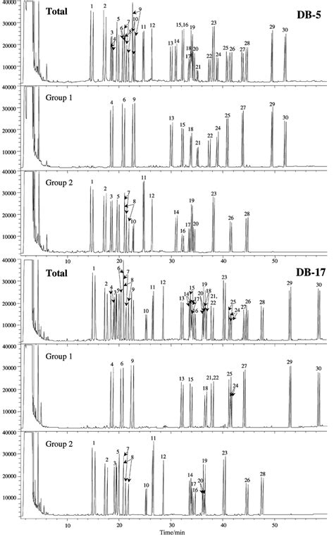 Dual Chromatograms Of Enantiomeric Pairs Of 30 Amino Acids As Their Download Scientific Diagram