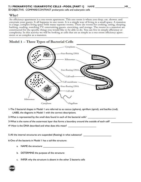 Comparing Prokaryotic And Eukaryotic Cells Worksheets Answer