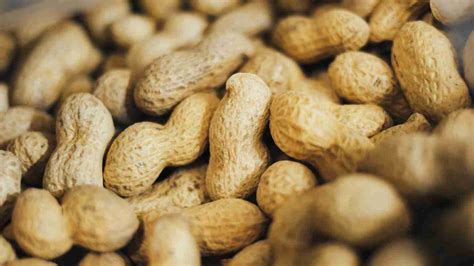 Can You Eat Peanut Shells The Crunchy Conundrum Nutrition Aspect