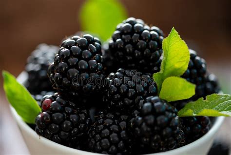 Close Up Ripes Blackberries Fruit With Leaf Stock Photo Image Of