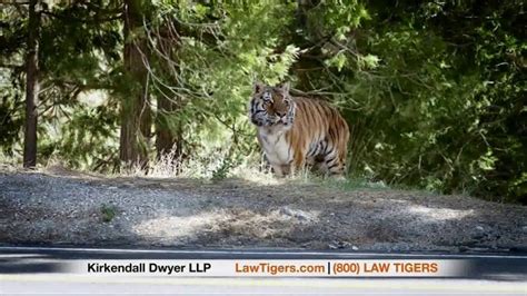 Law Tigers Tv Commercial Unexpected Turn Ispottv