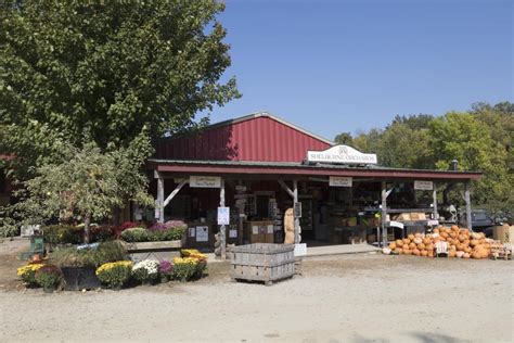 Picking The Best Apple Orchards In Vermont