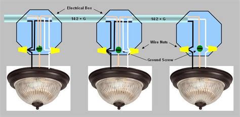 Wiring Multiple Schematics And Lights