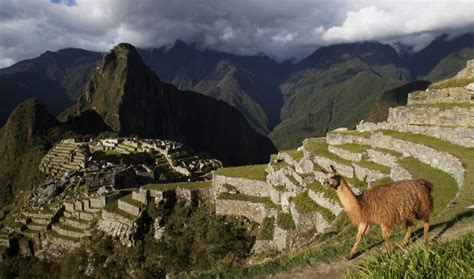 Ancient Dna Gives New Insight Into Inca Lost City Machu Picchu The