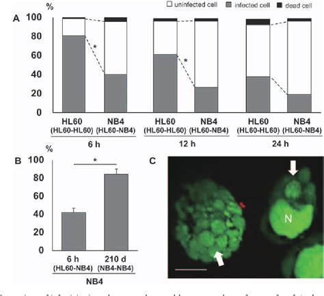 Figure 1 From Predominant Shift Of Different P44 Expressing Anaplasma