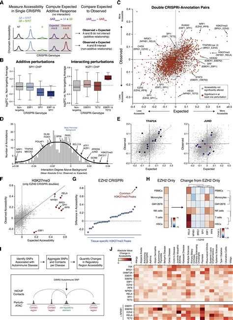 Coupled Single Cell Crispr Screening And Epigenomic Profiling Reveals