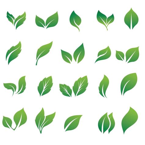 Premium Vector Green Leaf Icon Set On White Background