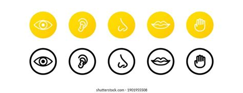 2461 5 Senses Icons Images Stock Photos 3d Objects And Vectors