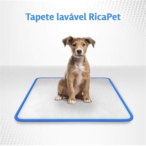 Tapete Higi Nico Lav Vel Para C Es Cachorro Xixi M X Shopee Brasil