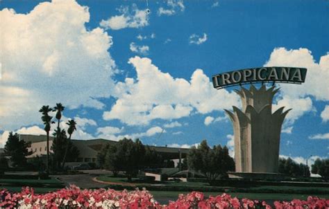 The Tropicana Hotel Las Vegas, NV Postcard