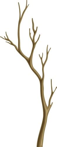 Bare Tree Branch Or Twigs With Naked Stem And Snag