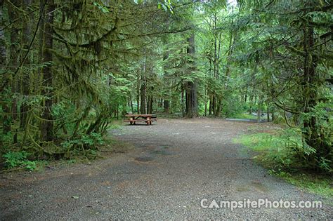 Swift Creek - Campsite Photos and Camping Information