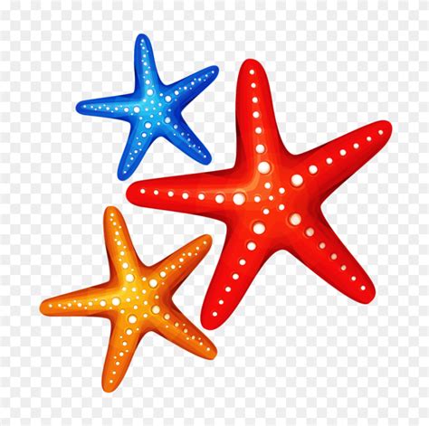 Sea Ocean And Under Starfish Png Flyclipart