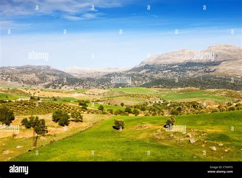 Andalusia Landscape Hills Covered With Green Meadows And Fields