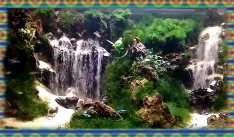 five beautiful designs to aquascape theme with waterfalls - Aquascape Design