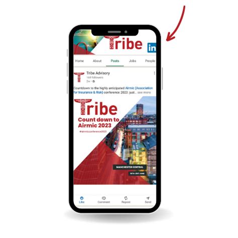 Social Media — Tribe Advisory