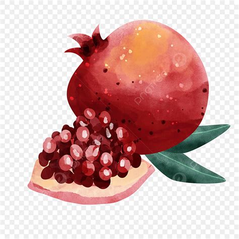 Pomegranate Fruit Hd Transparent Pomegranate Fruit Watercolor Style