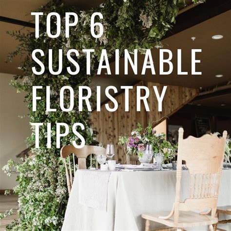 6 steps to incorporate sustainable floristry techniques into your ...