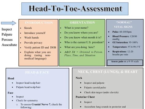 Head To Toe Assessment Guide Nursing Students Health Assessment