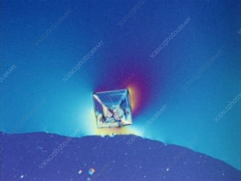 Salt crystal growth - Stock Video Clip - K004/2303 - Science Photo Library