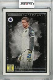 Mint Panini Impeccable Premier League Norwich