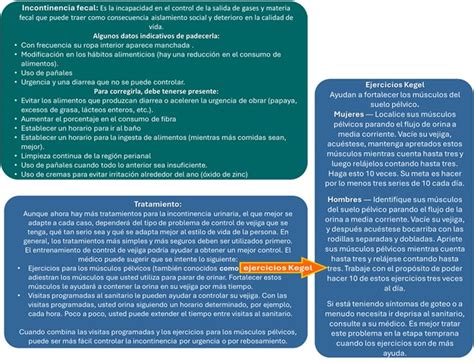 Hablemos Del Cuidado De Las Personas Adultas Mayores XVII Monitoreo