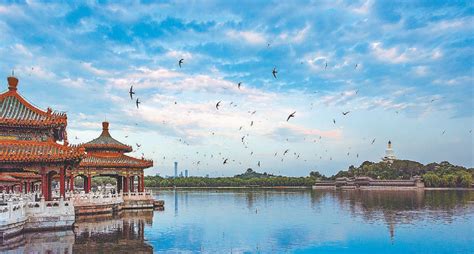 北京成生物多样性最丰富大都市之一 国际在线