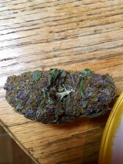 So purple. : r/trees